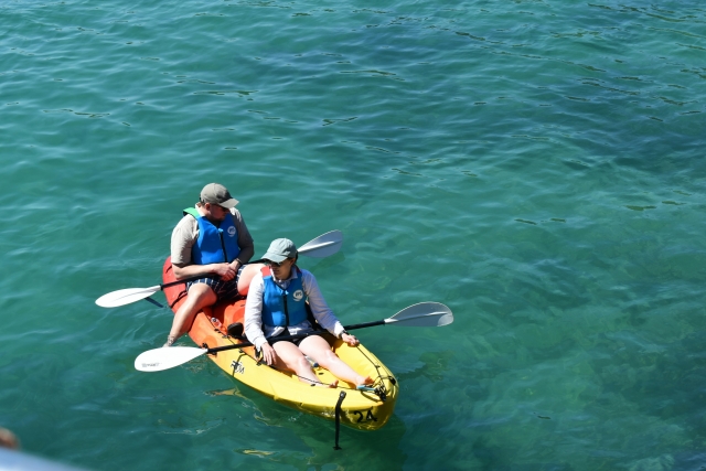 Kayak